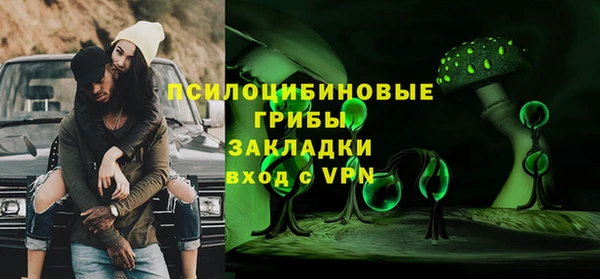 шишки Киреевск