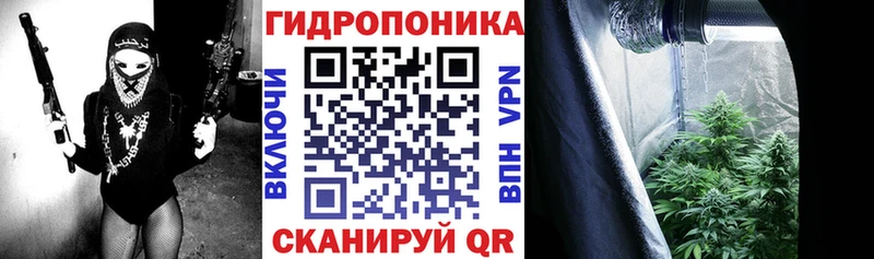 Купить  Дмитровск  Марихуана ГИДРОПОН 